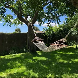https://accommotion-with-swimming-pool-and-private-garden.catalonia-hotels.com